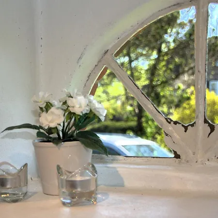 Sylter Seestern App Ual Skiin