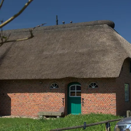 Sylter Seestern App Ual Skiin