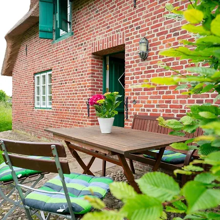 Apartament Sylter Seestern App Ual Skiin *