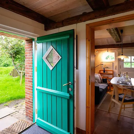 Sylter Seestern App Ual Skiin *