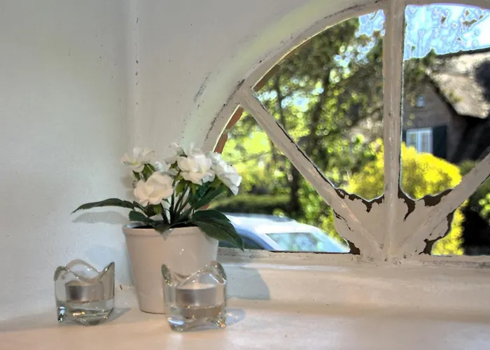 Sylter Seestern App Ual Skiin