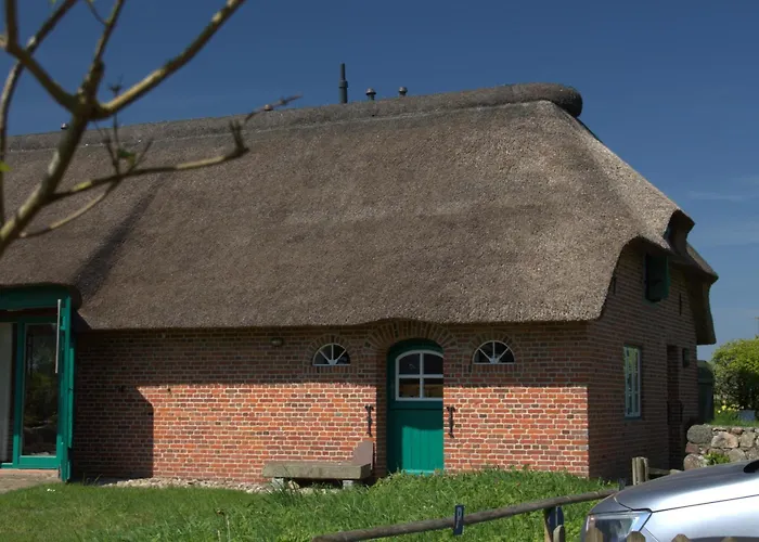 Sylter Seestern App Ual Skiin