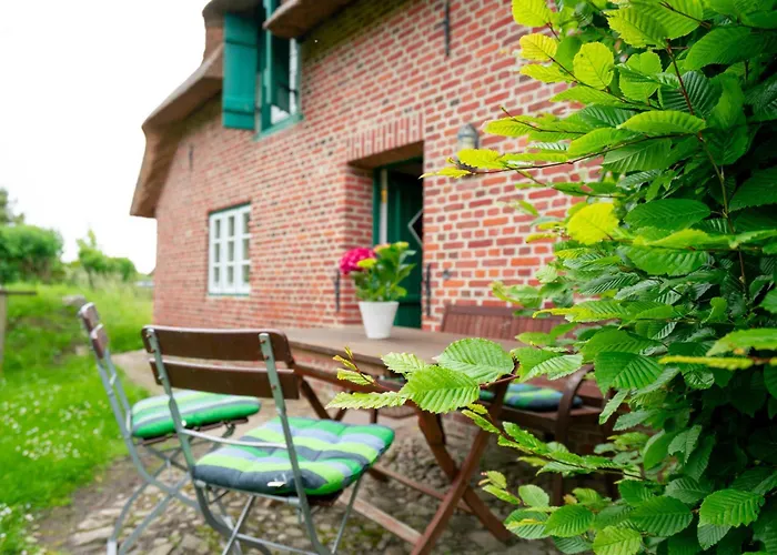 Sylter Seestern App Ual Skiin *