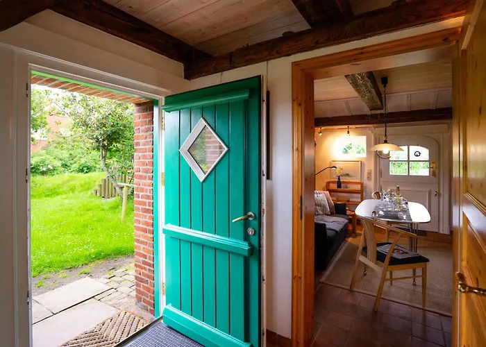 Sylter Seestern App Ual Skiin *